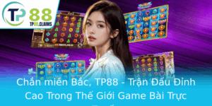 Chan Mien Bac Tp88 Tran Au Inh Cao Trong The Gioi Game Bai Truc Tuyen
