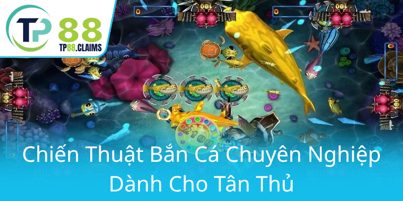 Khám Phá Thế Giới Bắn Cá Sắc Màu TP88 - Trò Chơi Đổi Thưởng Uy Tín Đỉnh Cao 2 Chien Thuat Ban Ca Chuyen Nghiep Danh Cho Tan Thu0