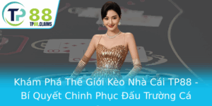 Kham Pha The Gioi Keo Nha Cai Tp88 Bi Quyet Chinh Phuc Au Truong Ca Cuoc